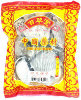 Arca Inflata Reeve(Roasted)